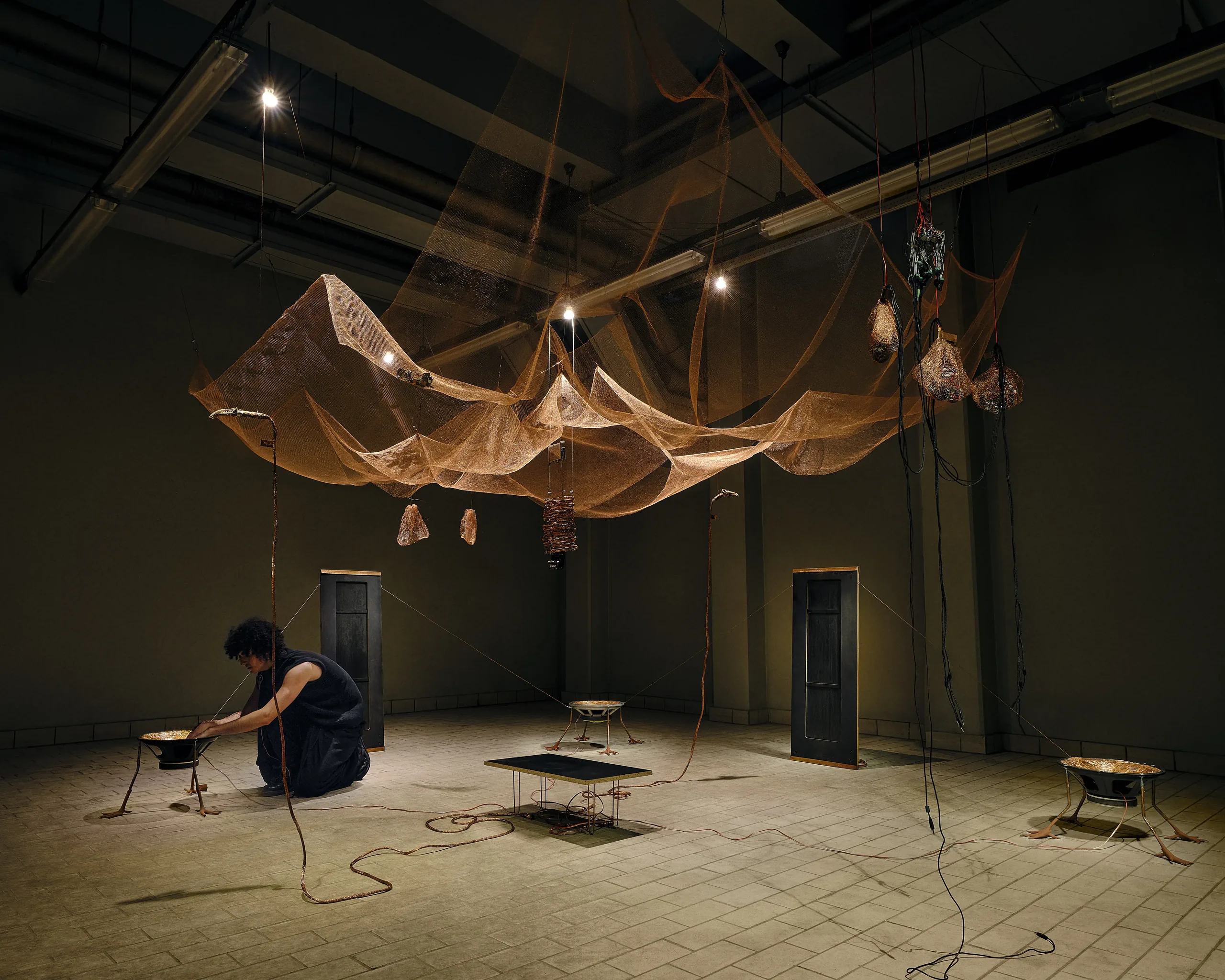 SYRINXES installation view